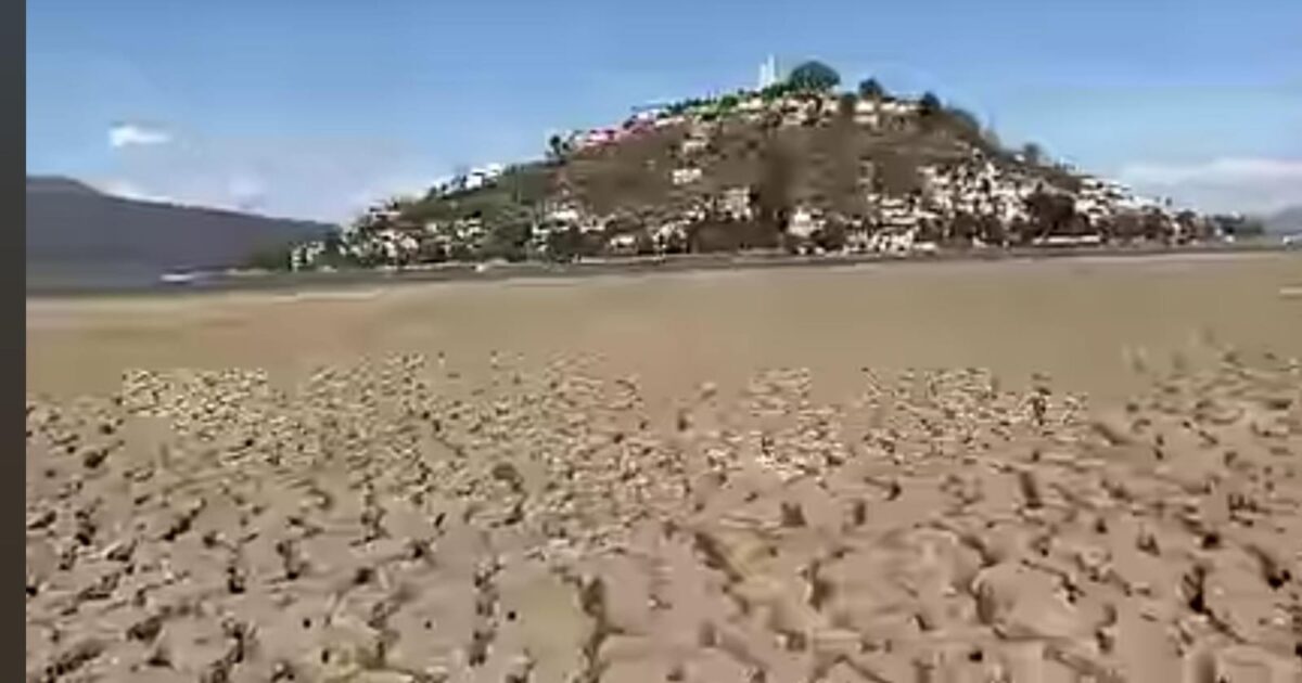 Se seca el Lago de Pátzcuaro en Michoacán Revista Espejo