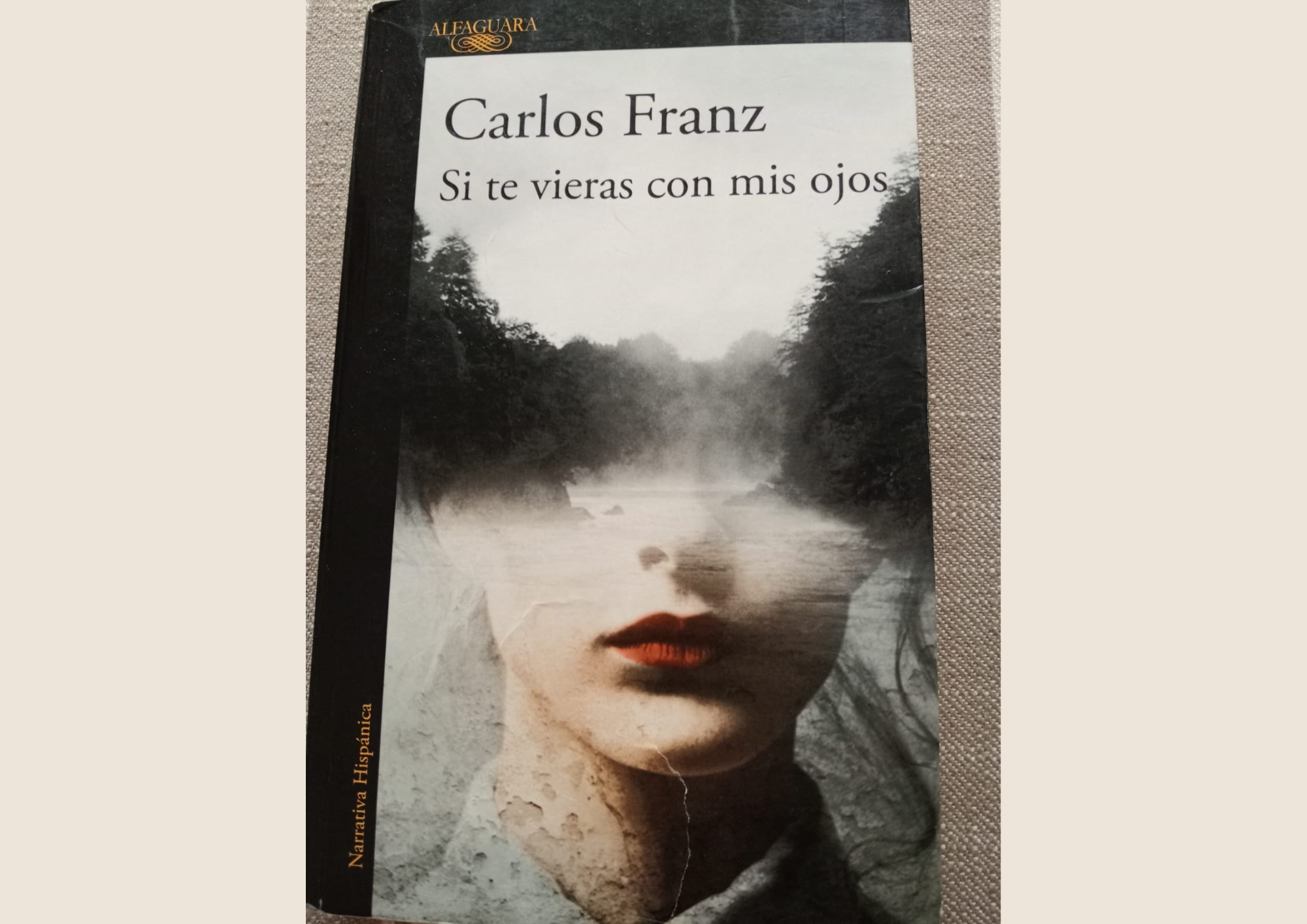 Portada: Si te vieras con mis ojos