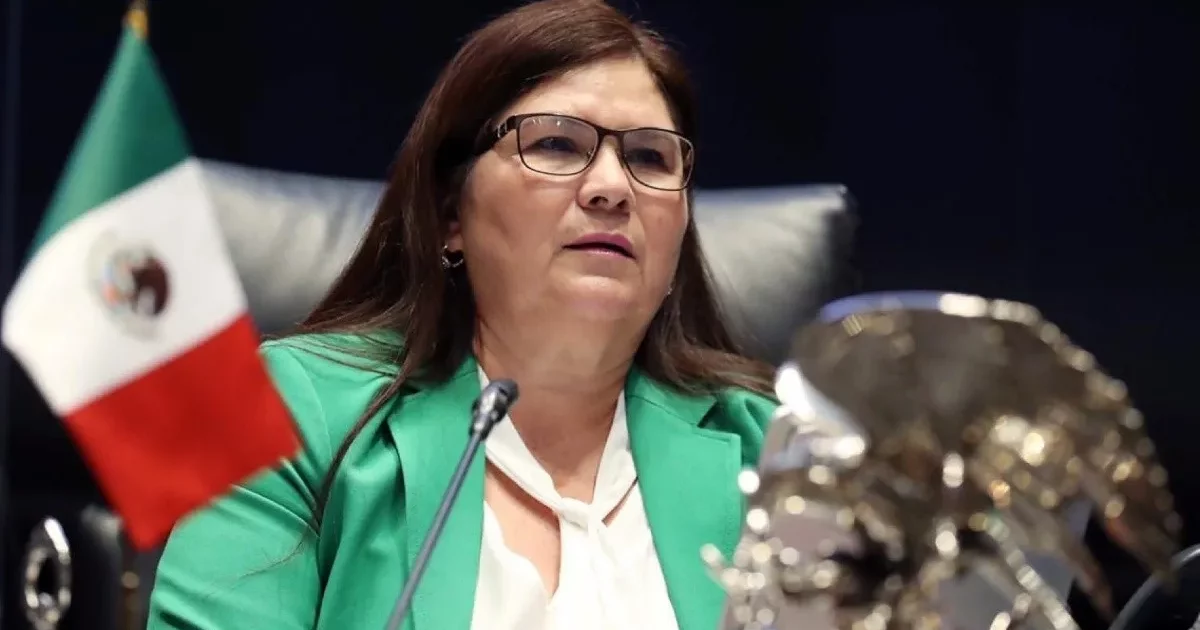 Imelda Castro encabeza fórmula al Senado y se prepara para gubernatura ...