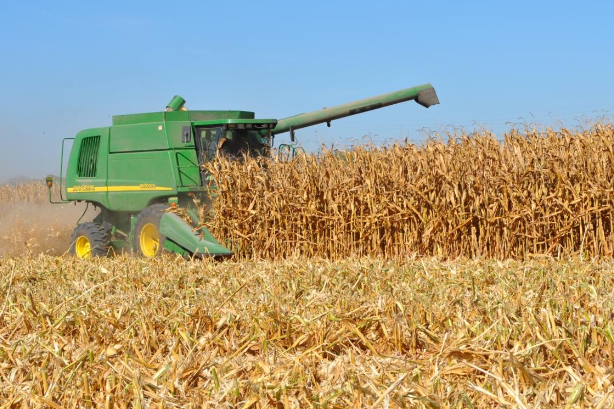 El maíz que compró Gobierno del Estado servirá como reserva estratégica alimentaria
