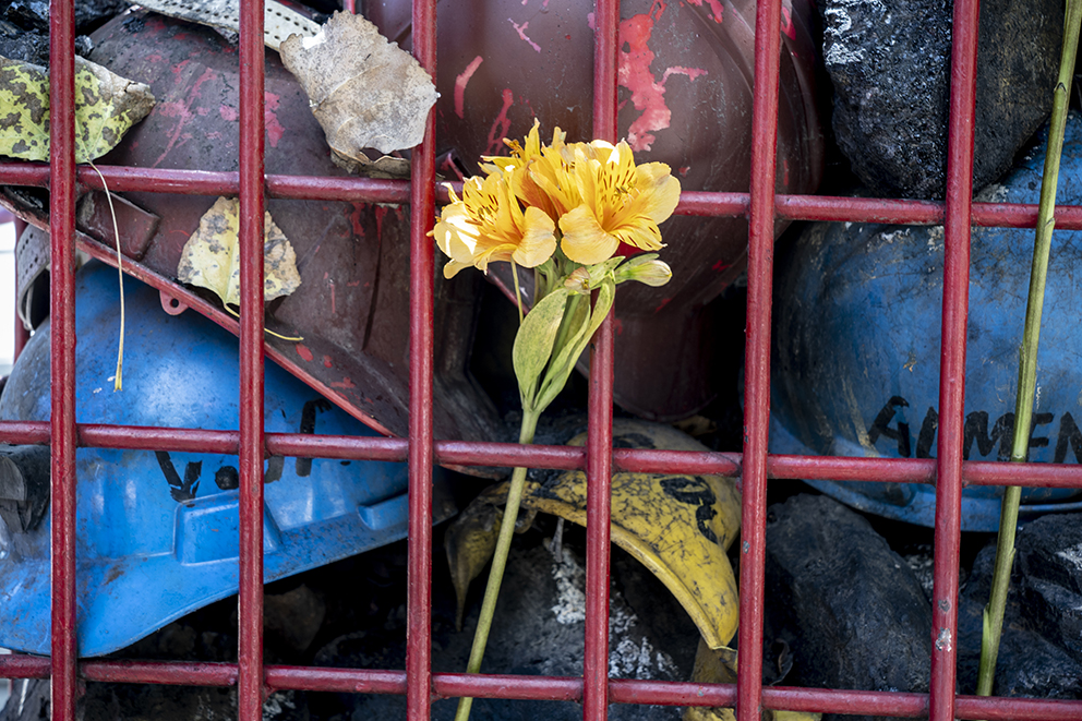 Familiares y amigos de los mineros atrapados en la mina Pasta de Conchos, colocaron flores en el antimonumento de Paseo de la Reforma. Foto: Duilio Rodríguez