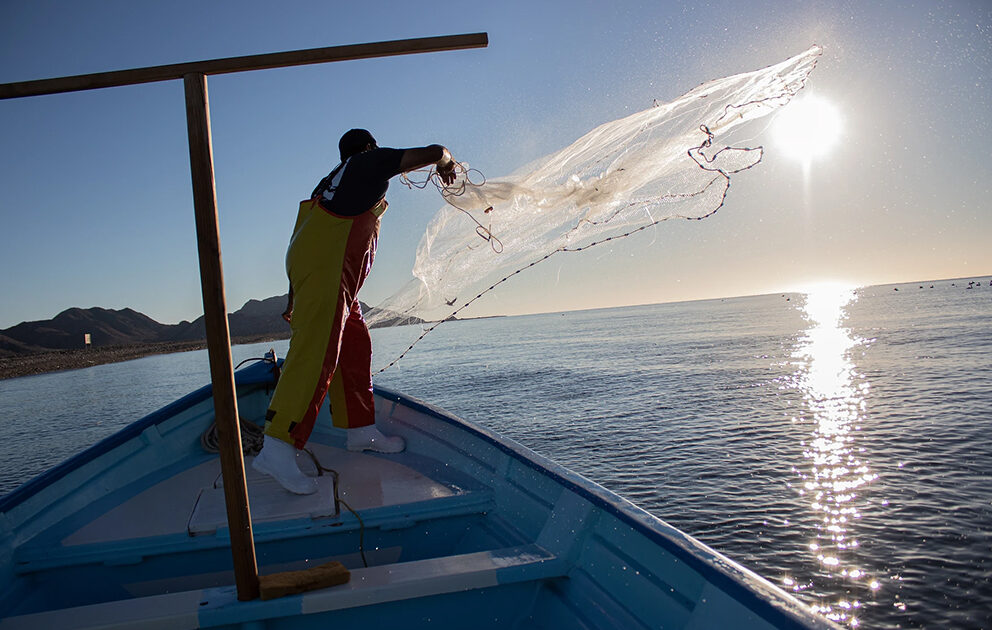 Pescadores contra cazadores furtivos en el Golfo de California