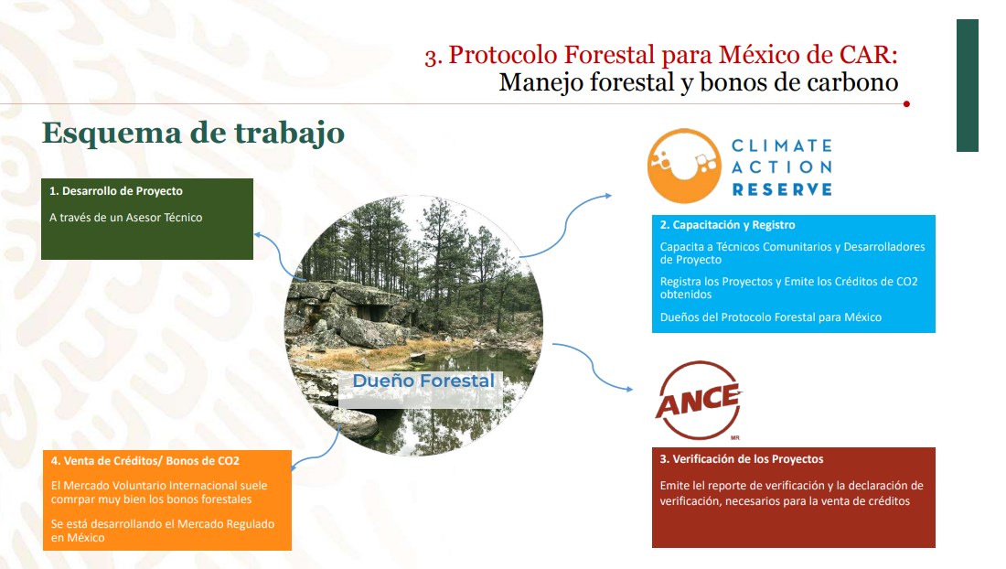 Protocolo Forestal para México de CAR