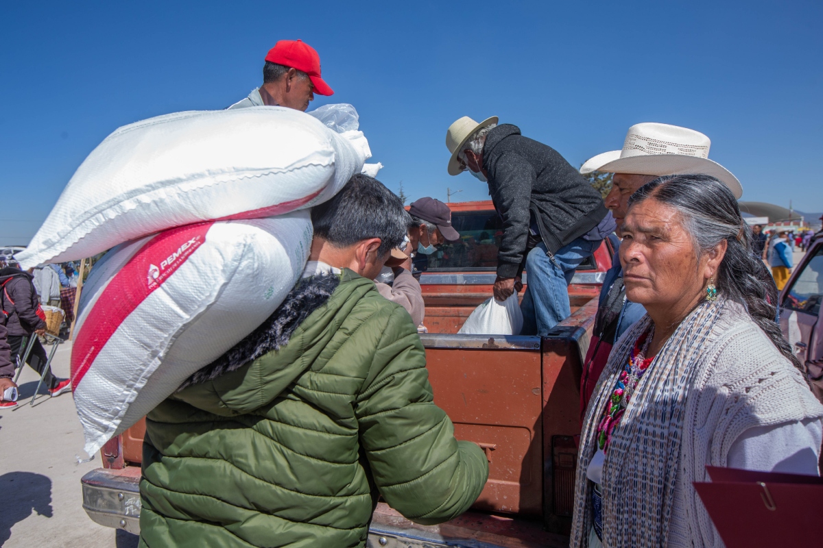 Avanza entrega de fertilizante gratuito en Sinaloa | Revista Espejo