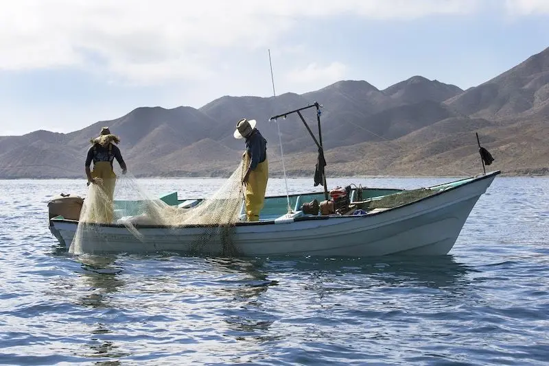 Pescadores de bahía. Foto: Gobierno de México. 