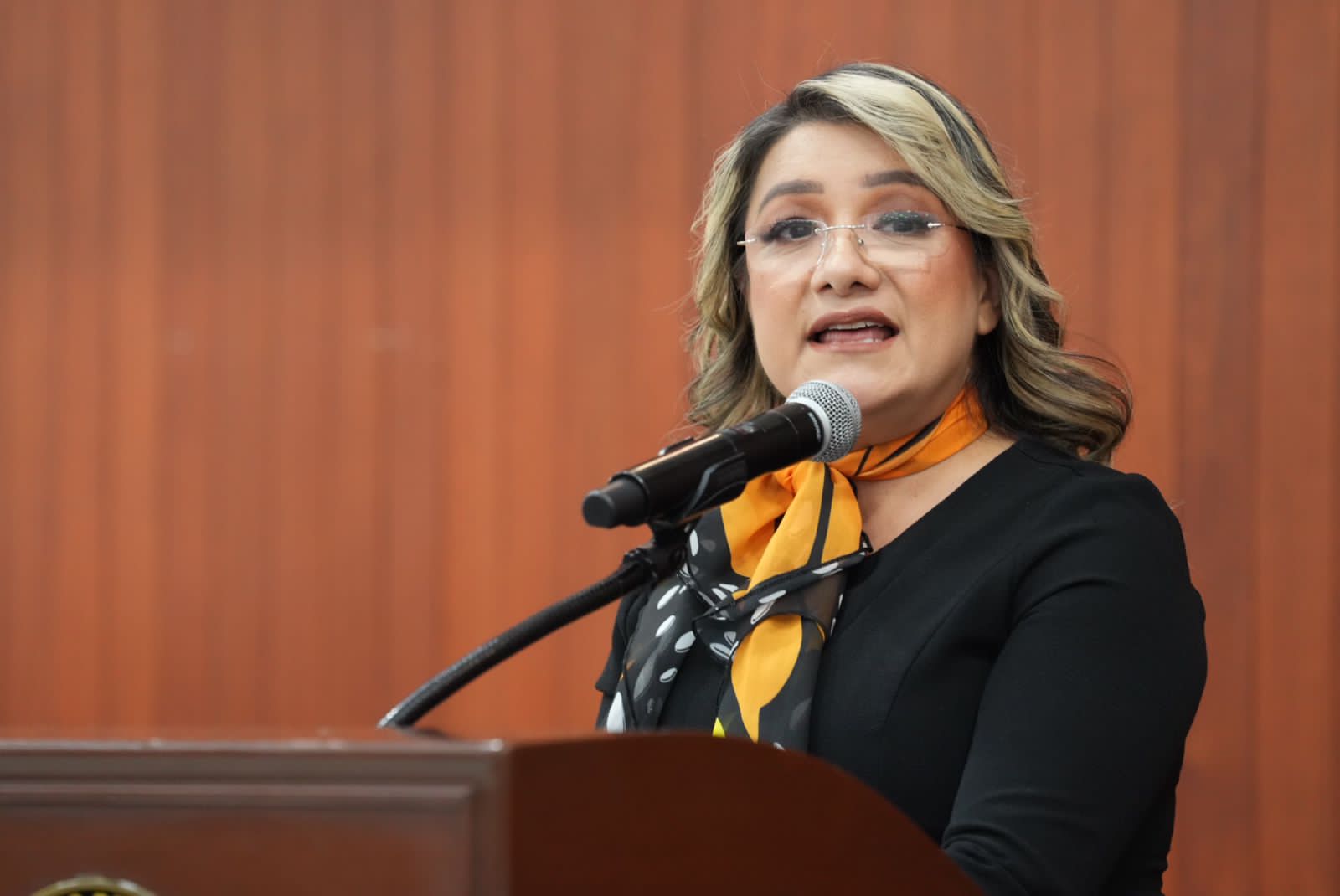 Órganos autónomos, CEAIP, Reformas, AMLO