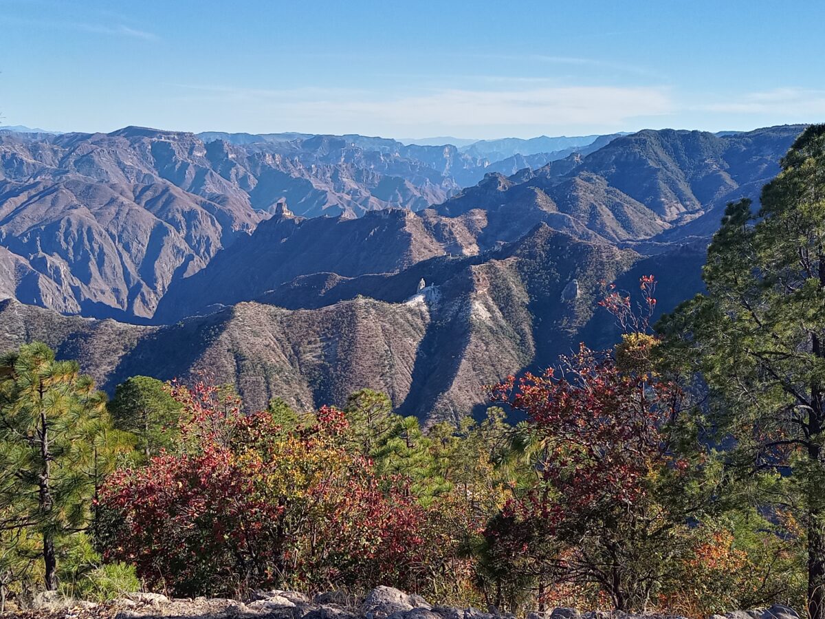 Sierra Tarahumara, Comunidad Ralámuli, Mogótavo
