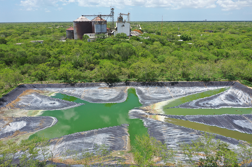 Tierra de sacrificios: cómo la producción industrial de cerdos y pollos  aniquila la vida en Yucatán | Revista Espejo