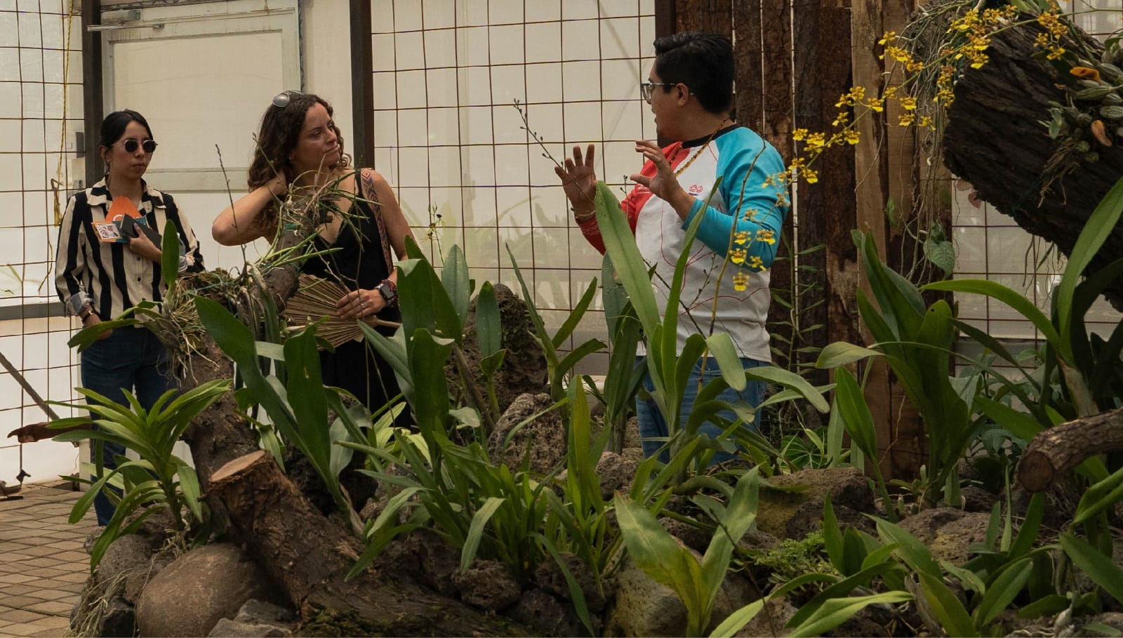 Jardín Botánico Culiacán