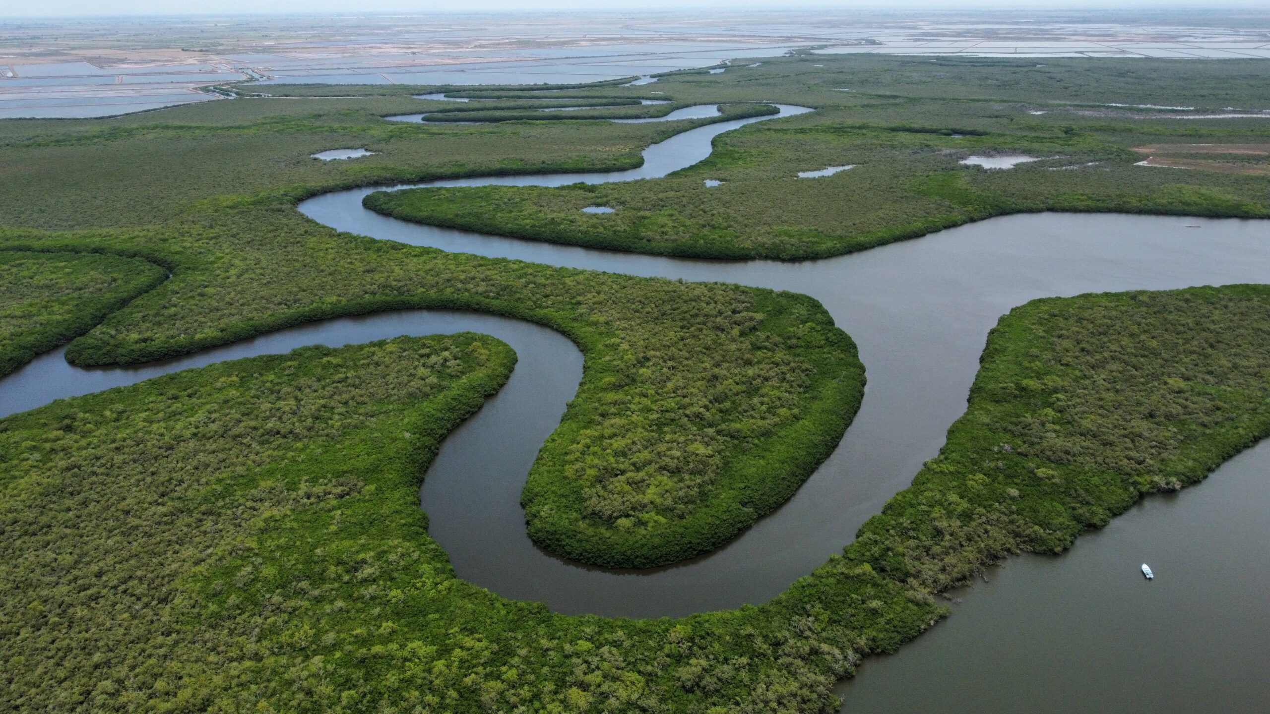 Sequía, Agua, Pesca, Sinaloa, Secretaría de Pesca