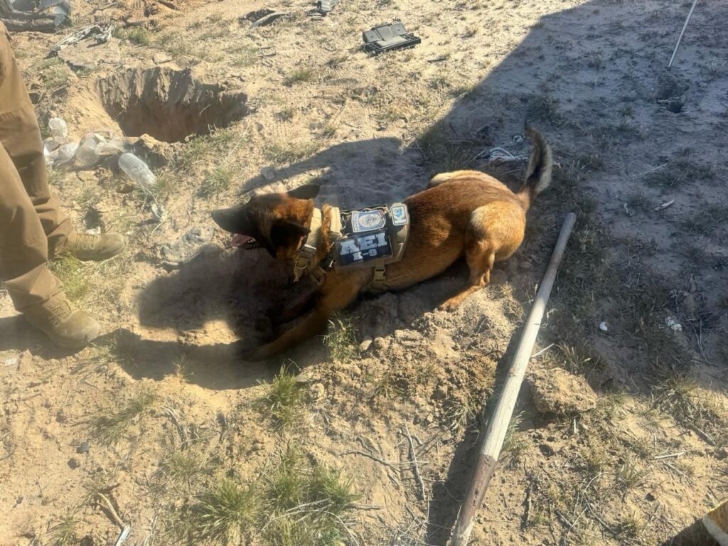 Fosas clandestinas, Ciudad Juárez