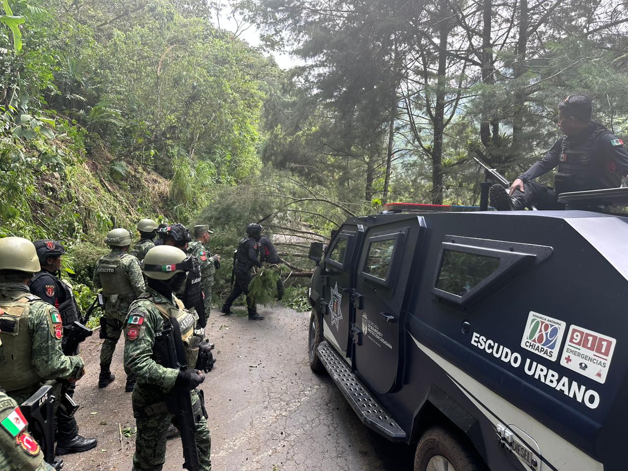 Violencia, Chiapas, Ejército
