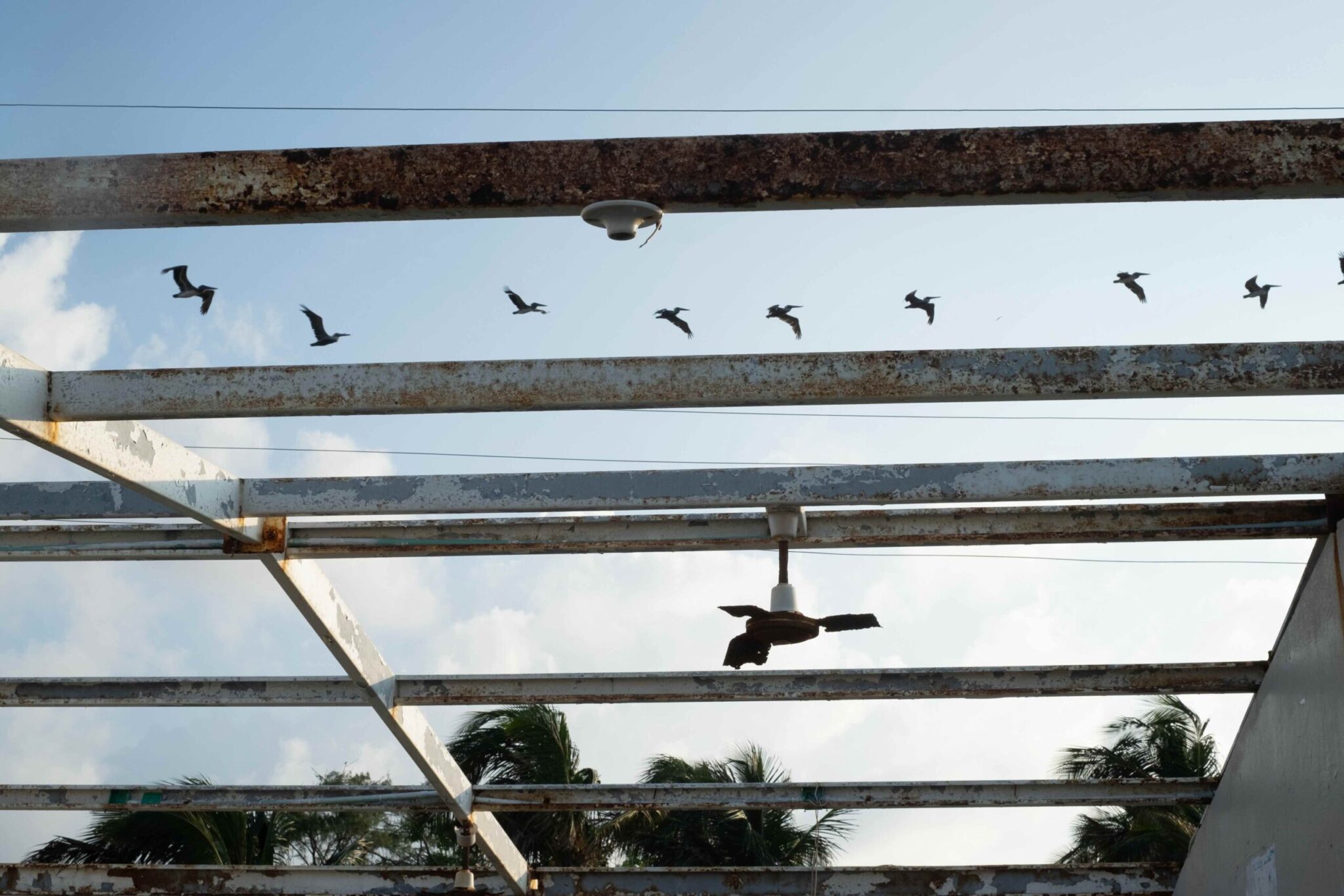 Desplazamiento, México, Desplazados climáticos