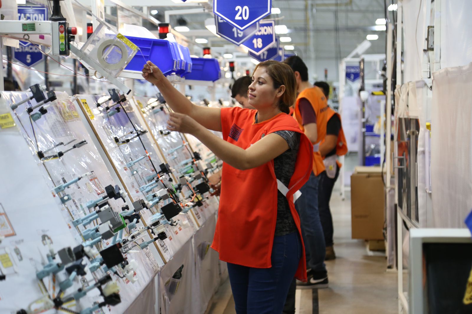 Nearshoring, Economía,, Sinaloa, Negocios