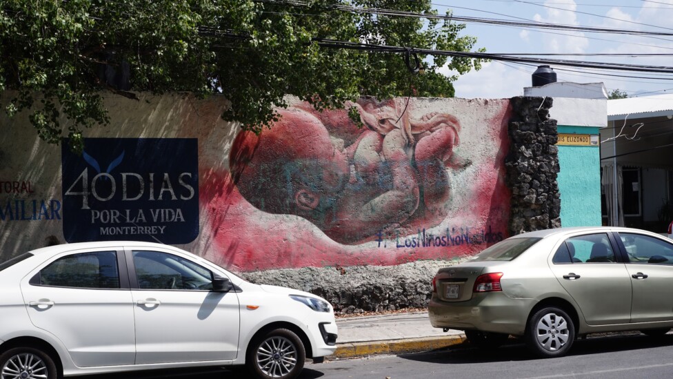 Aborto, OenDemocracy