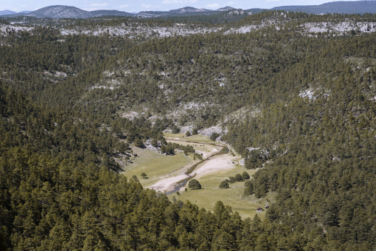 Tarahumara, Chihuahua