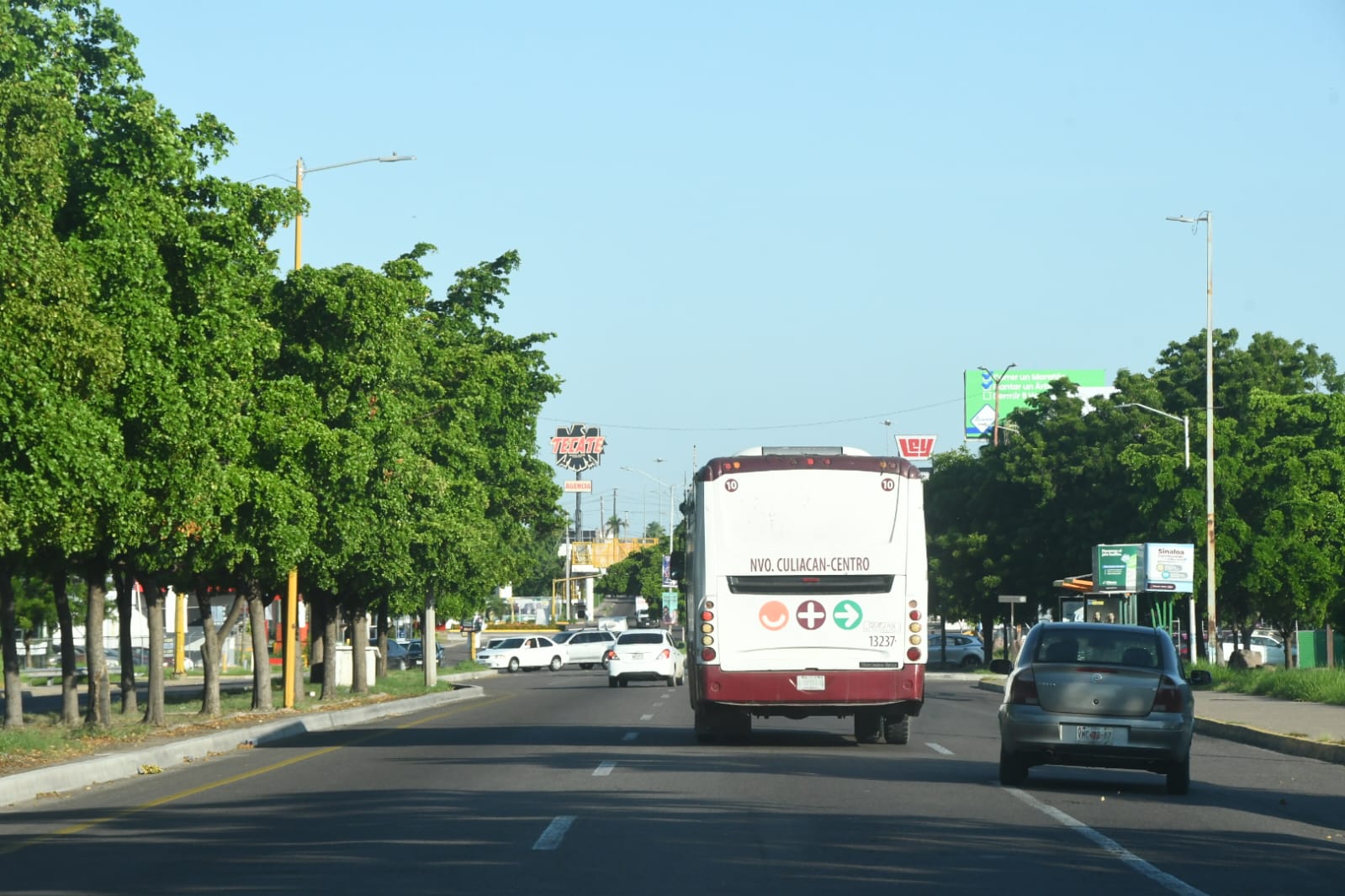 transporte-cln