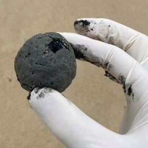 bolas negras australia playas (2)