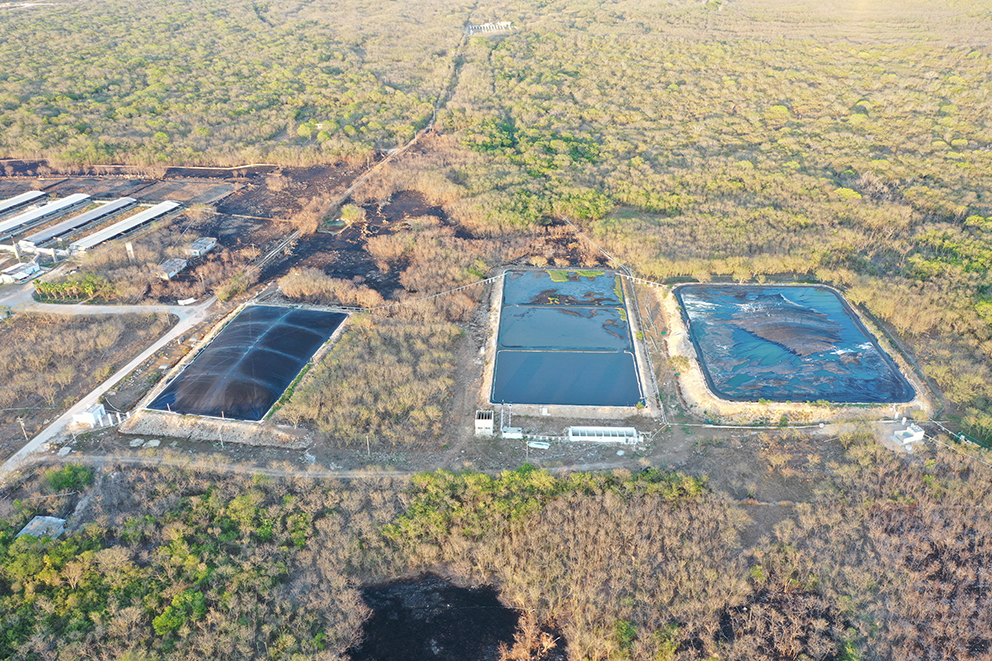 Desastre, territorio, Yucatán