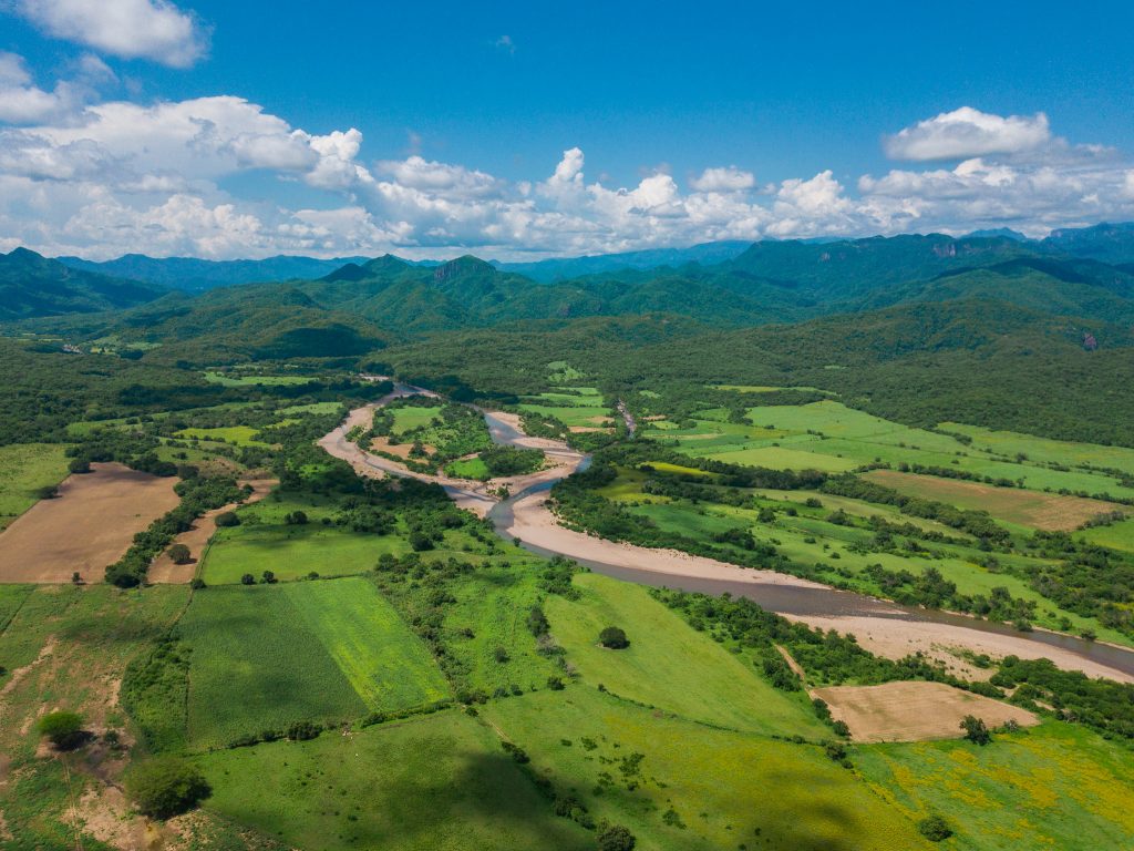Campo sinaloense Conselva