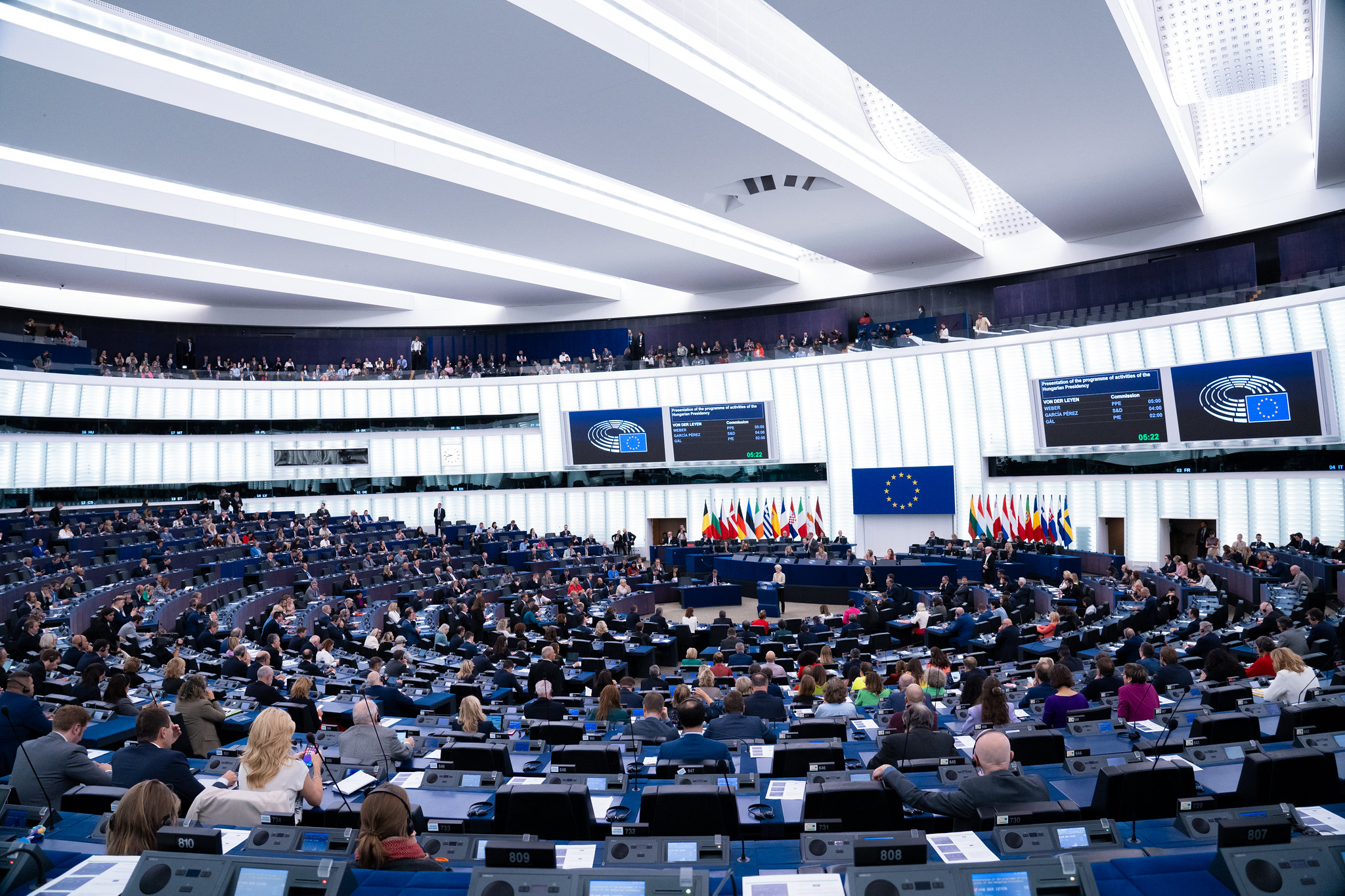 El Parlamento Europeo aprobó la postergación de la entrada en vigencia de la ley de deforestación cero