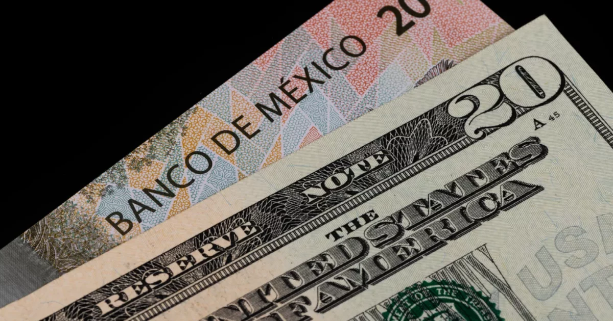 Precio Del Dólar Hoy 8 De Noviembre De 2024 Peso Mexicano Vuelve A Depreciarse Revista Espejo 8585