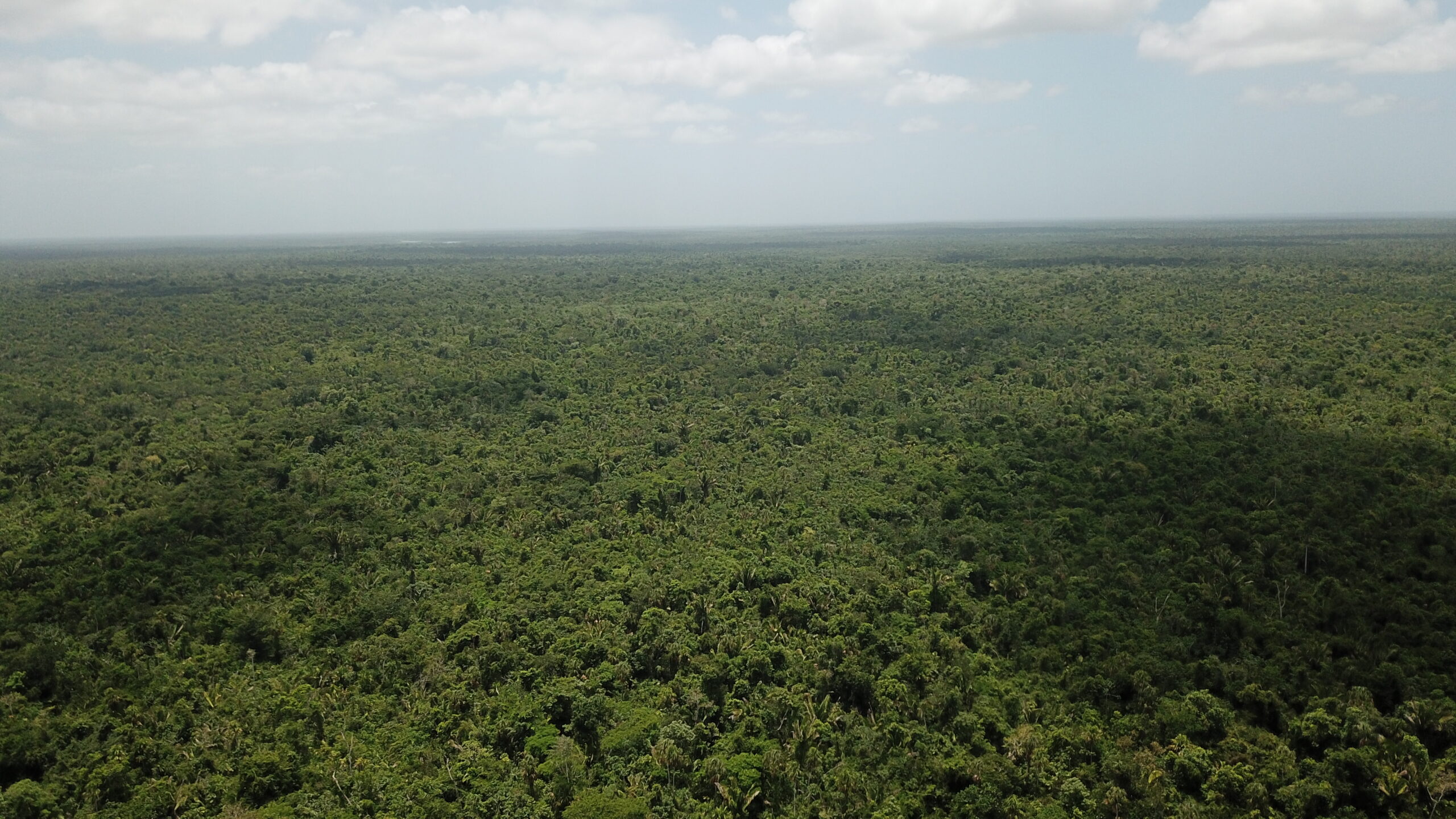 Vista aérea del Corredor de la Selva Maya, en Belice.