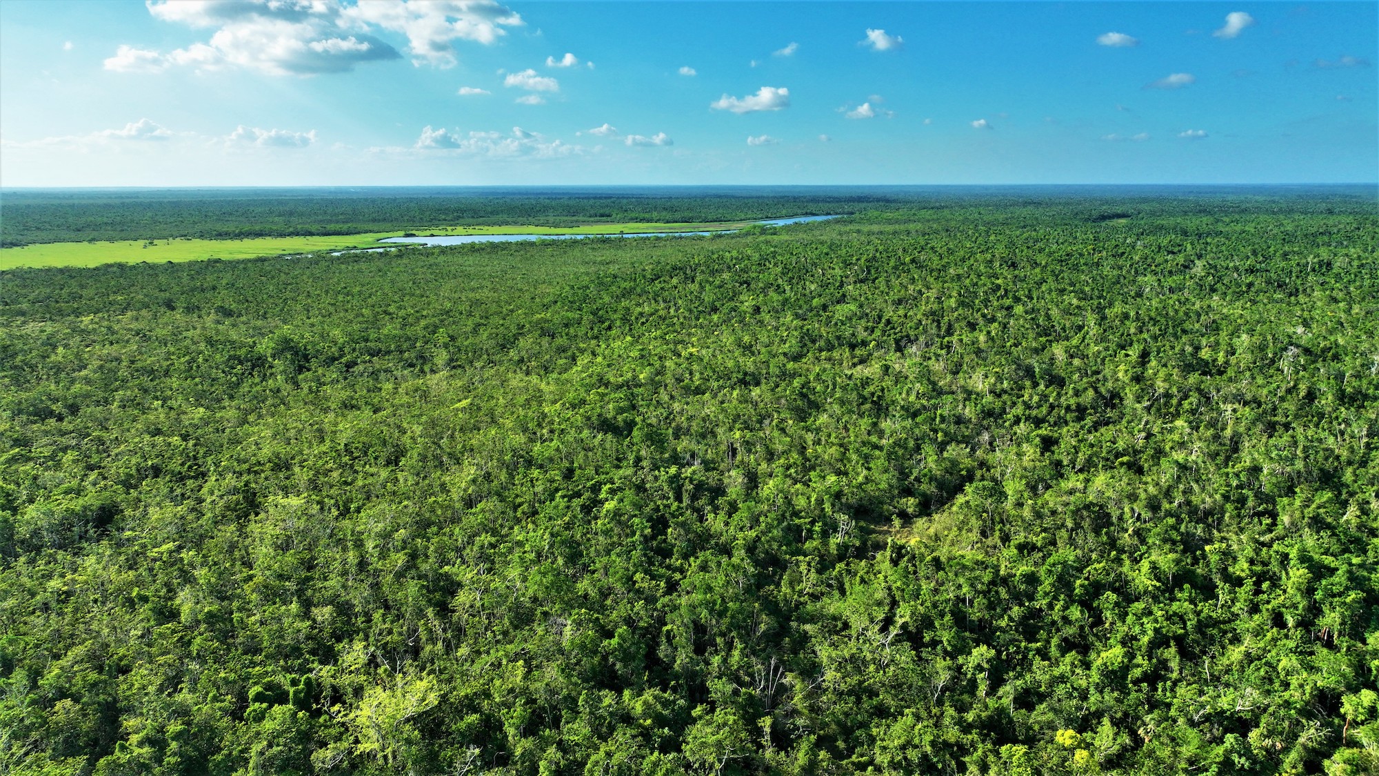 La laguna Cox, ubicada en más de 12,000 hectáreas adquiridos por el Maya Forest Corridor Trust. Foto: WCS Belice