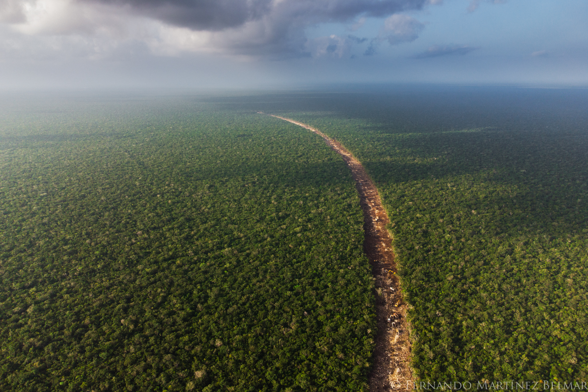 Más de 6 000 hectáreas —un estimado de más de 10 millones de árboles— han sido deforestadas para darle lugar a las vías del mal llamado Tren “Maya”. Foto: Fernando Martínez Belmar