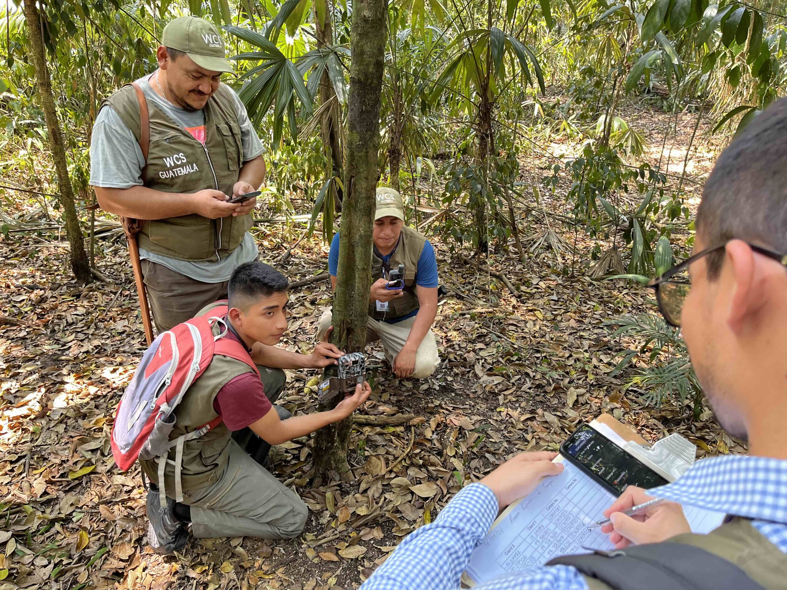 Equipo de WCS Guatemala durante la instalación de cámaras trampa en la Reserva de la Biosfera Maya, en Guatemala
