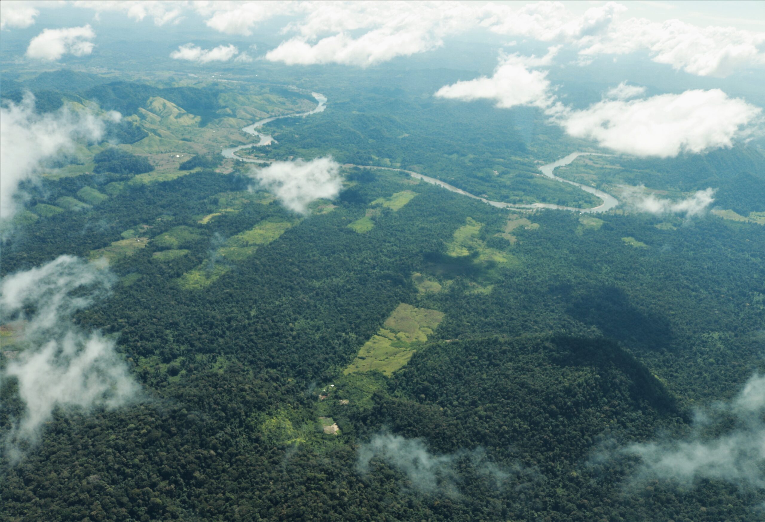El paisaje que habita el jaguar en Honduras.