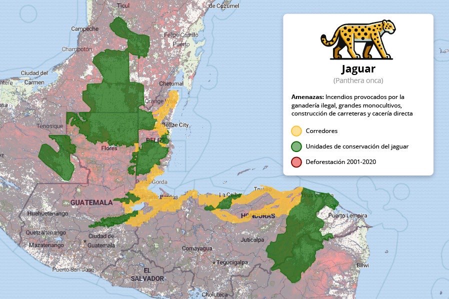 Unidades de conservación del jaguar y corredores en Guatemala, Belice y Honduras