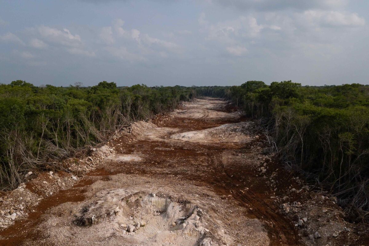 Pérdida de cobertura forestal provocada por la construcción del Tren Maya.