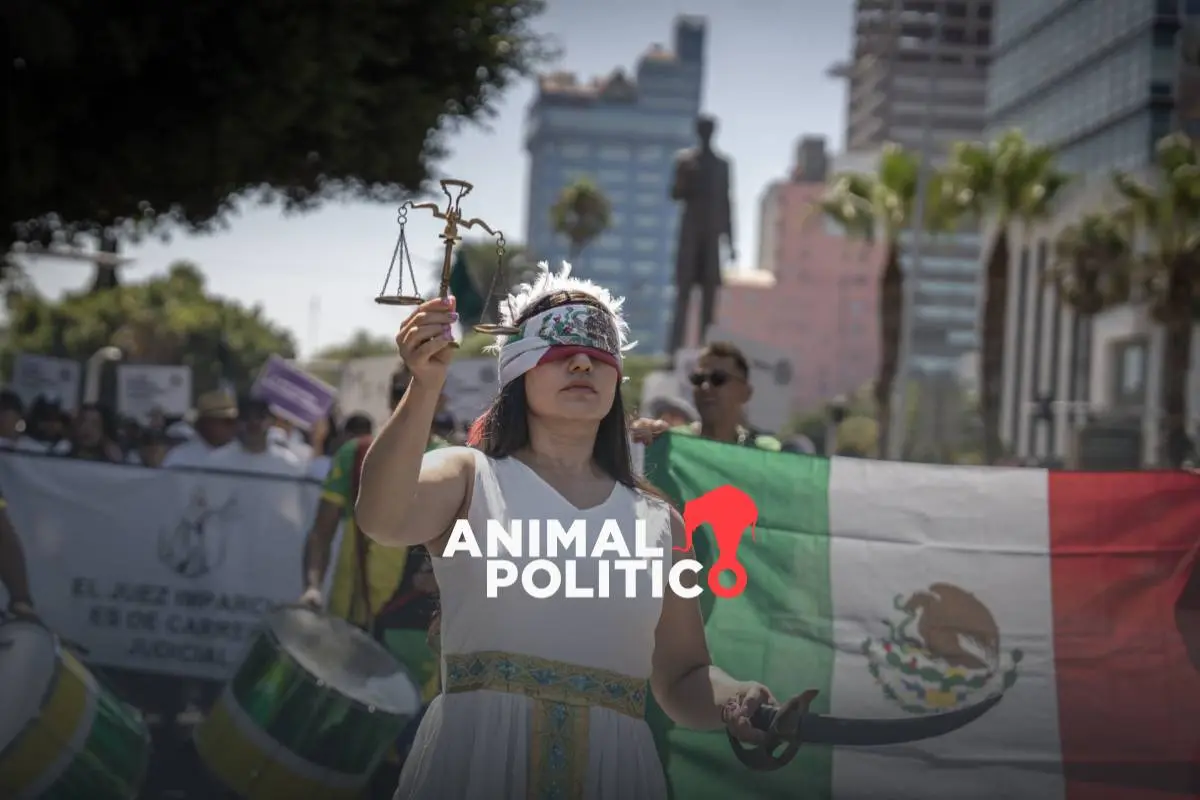 Denuncian-que-siete-candidatos-a-Poder-Judicial-estan-relacionados-con-crimen-organizado-o-violencia-4