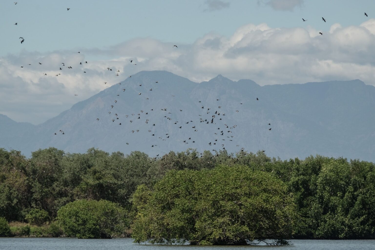 PescadoresRescatanSuOficio_ChiapasParalelo1-1536x1023