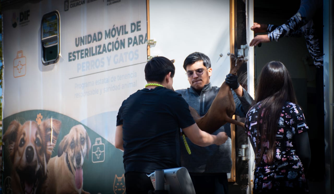 animales-ayto