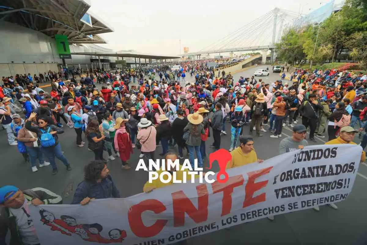 cnte-marcha-sheinbaum-2