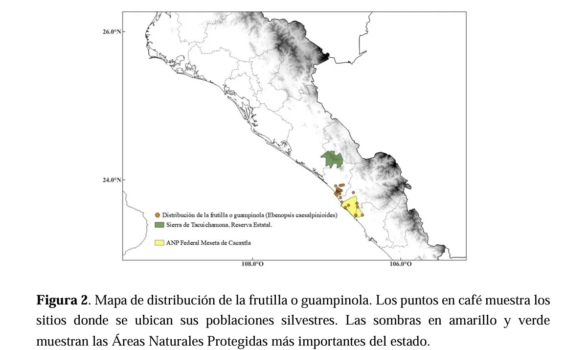 guampinola mapa de distribucion