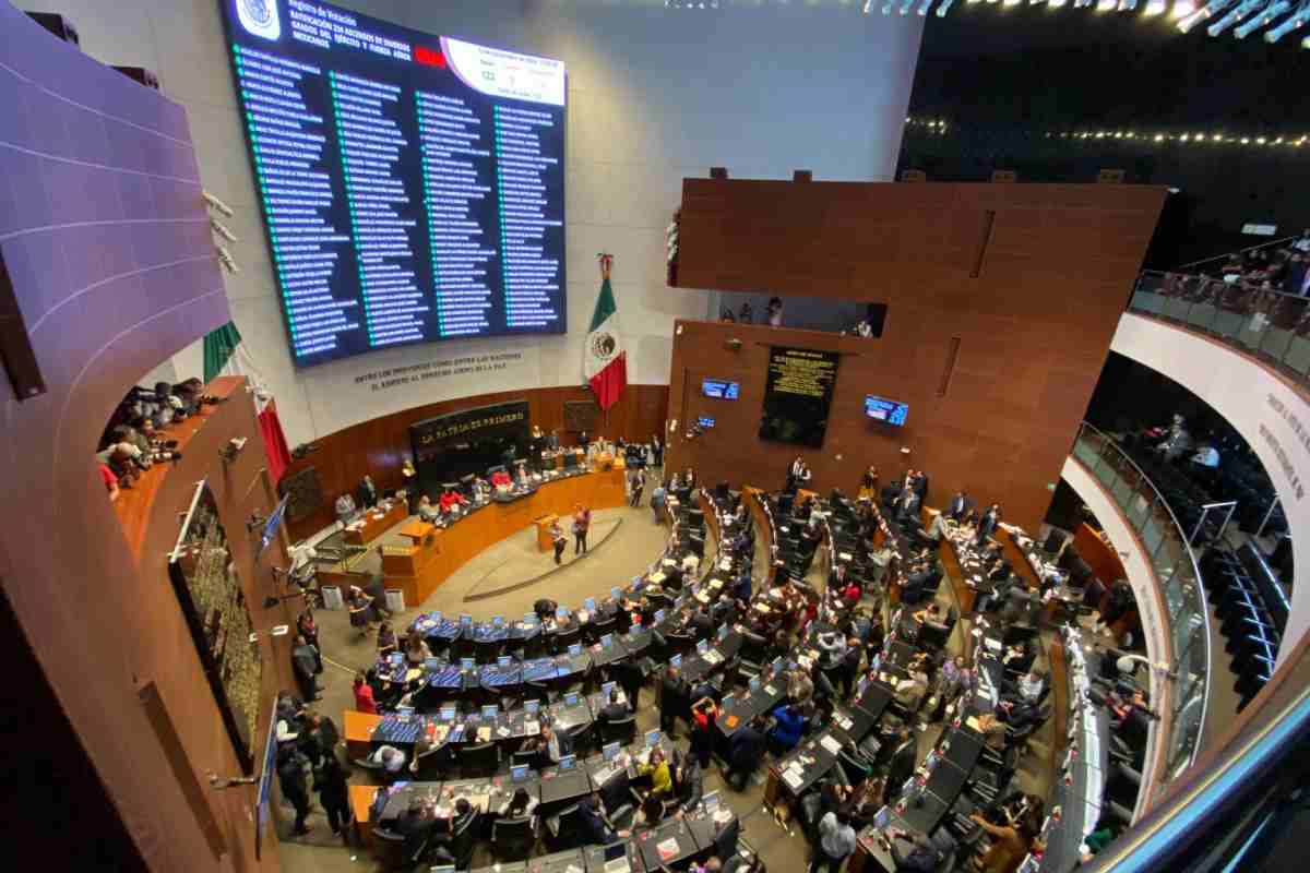 morena-senado-tribunales-electorales-magistratura-7