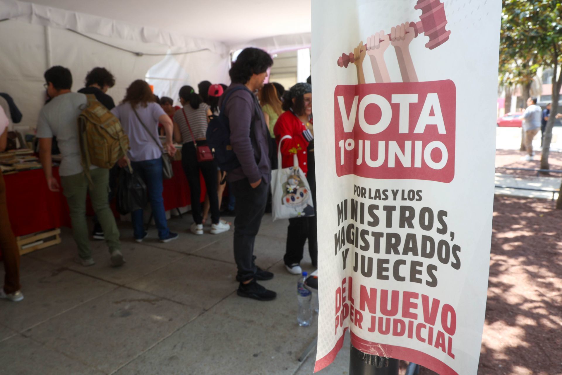 Promoción Elección Judicial