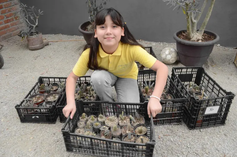 Camisa mostrando sus plantas