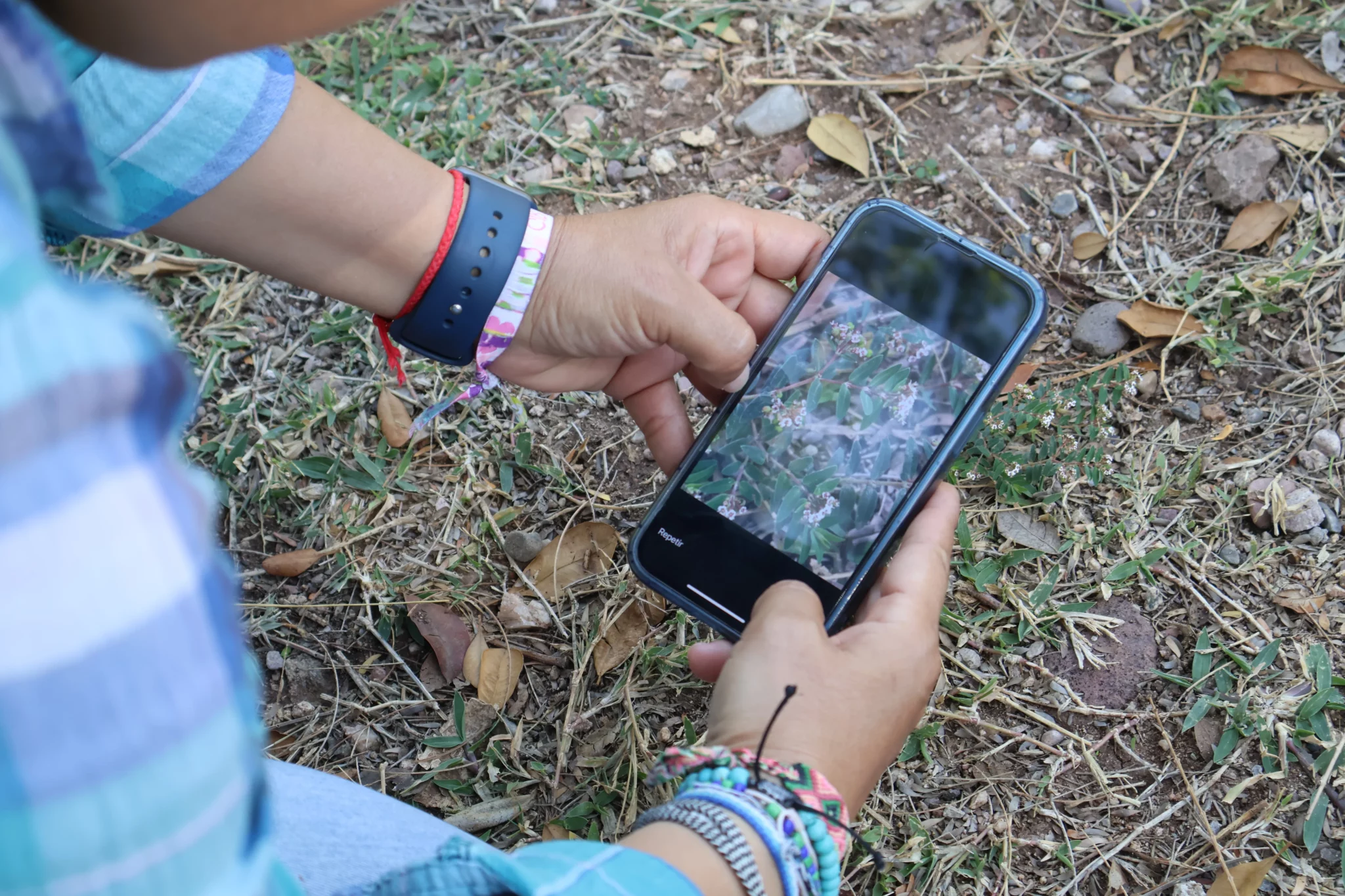 Reto Naturalista 2025 - Parque Ecológico Culiacan (11)