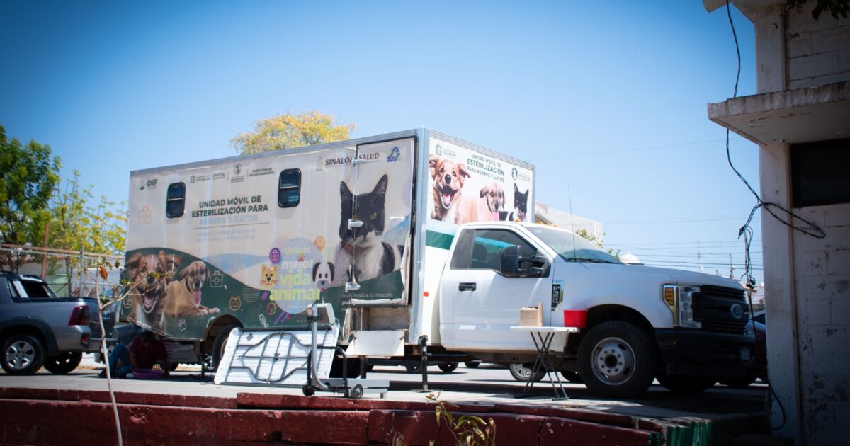 Pet Care: Free Sterilization & Vaccine in El Vallado, Culiacán