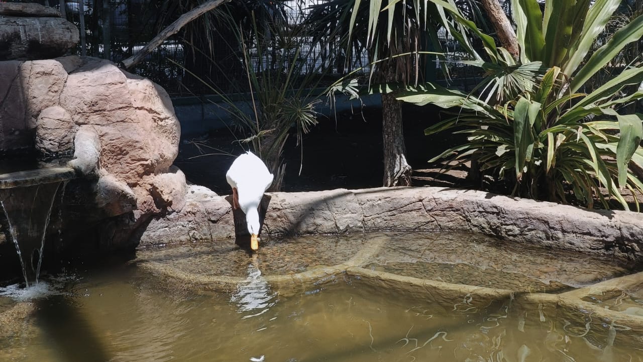 gran-acuario