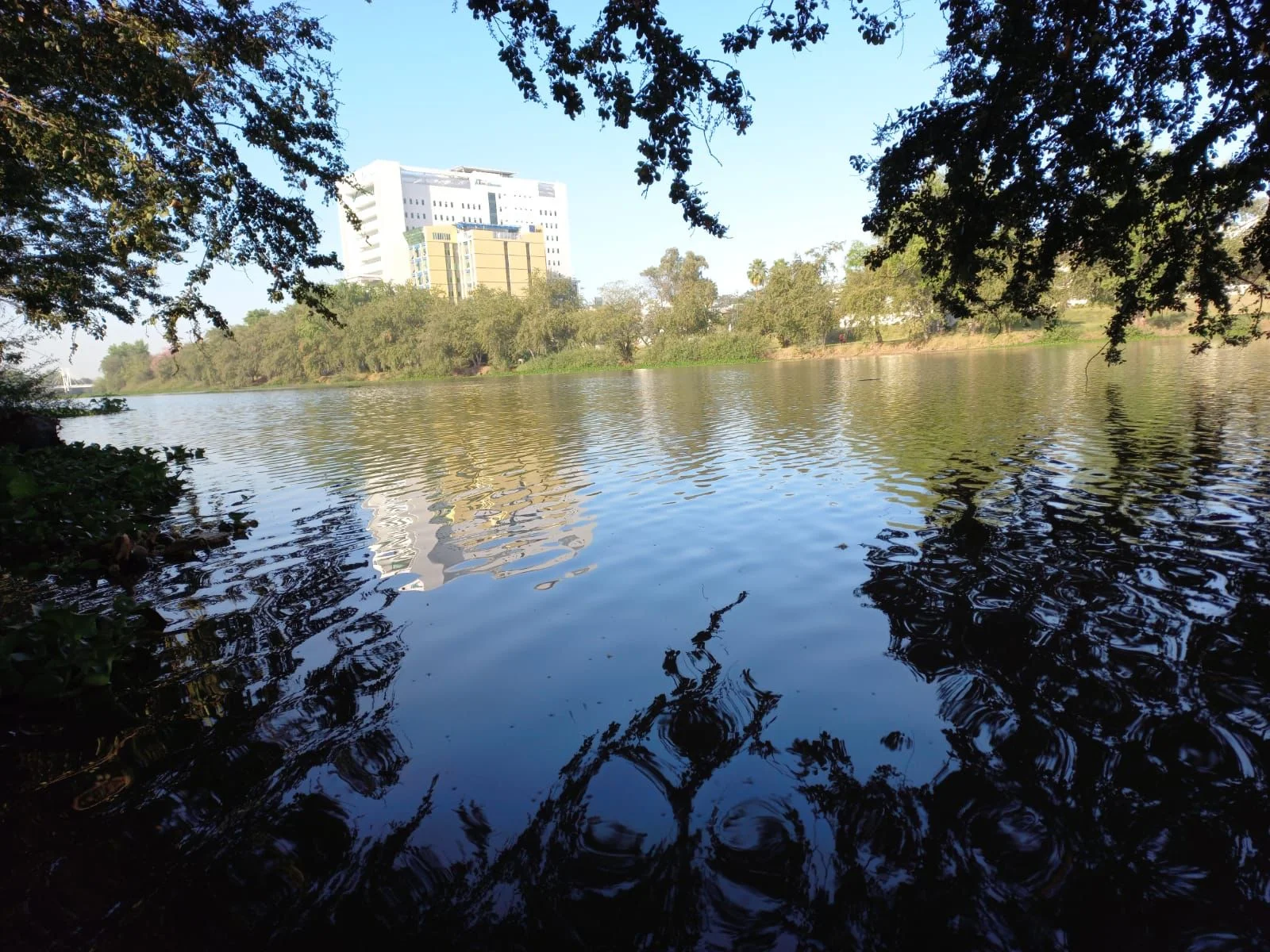 Rio Humaya Culiacan