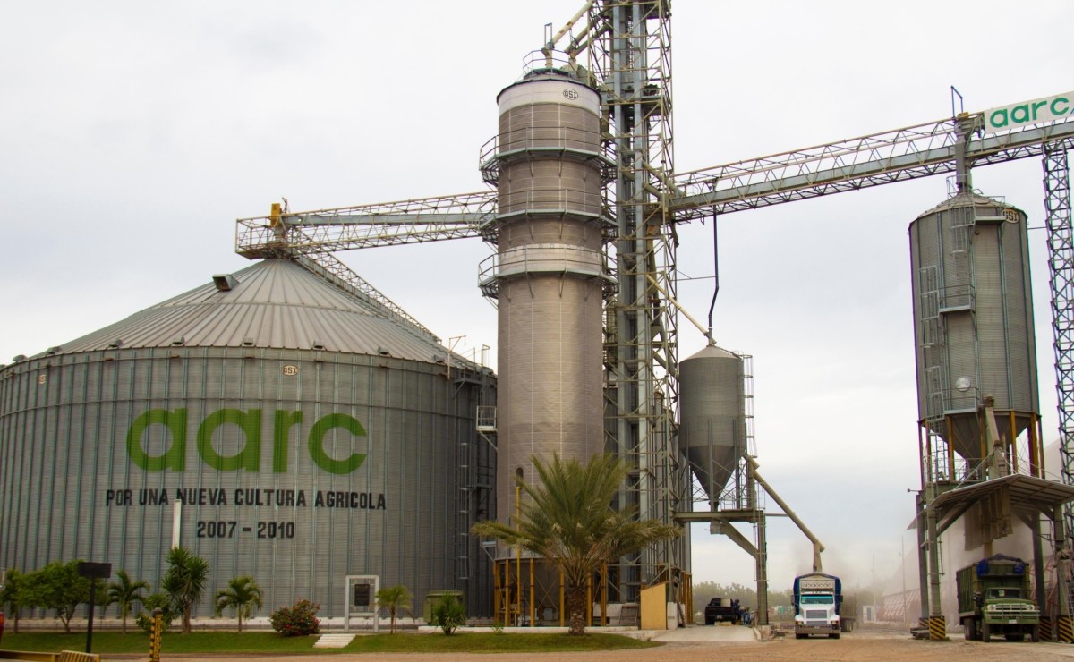 aarc_ofrece_almacenamiento_gratuito_a_productores_de_frijol_en_culiacxn_crop1612837543645