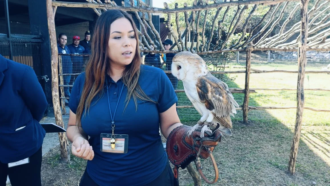 acuario mazatlan segundo aniversario