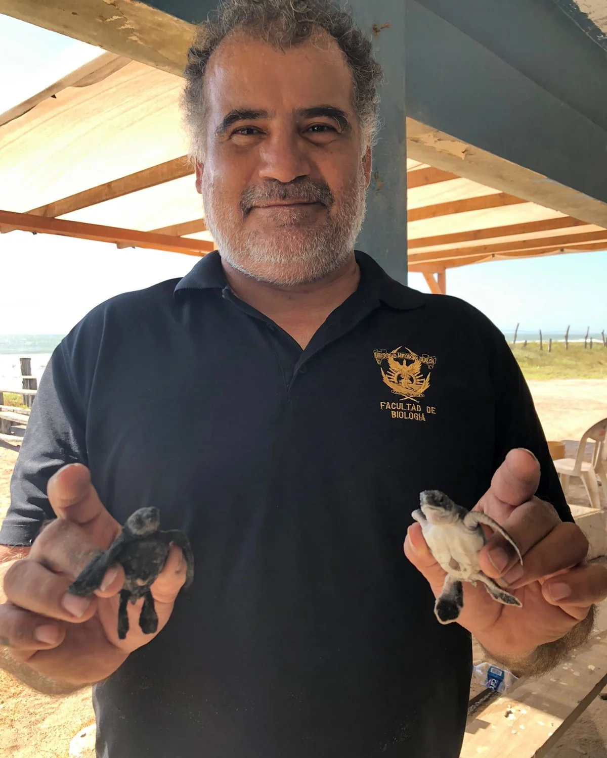 anidacion de tortugas elota ceuta ingmar sosa biologia UAS (3)