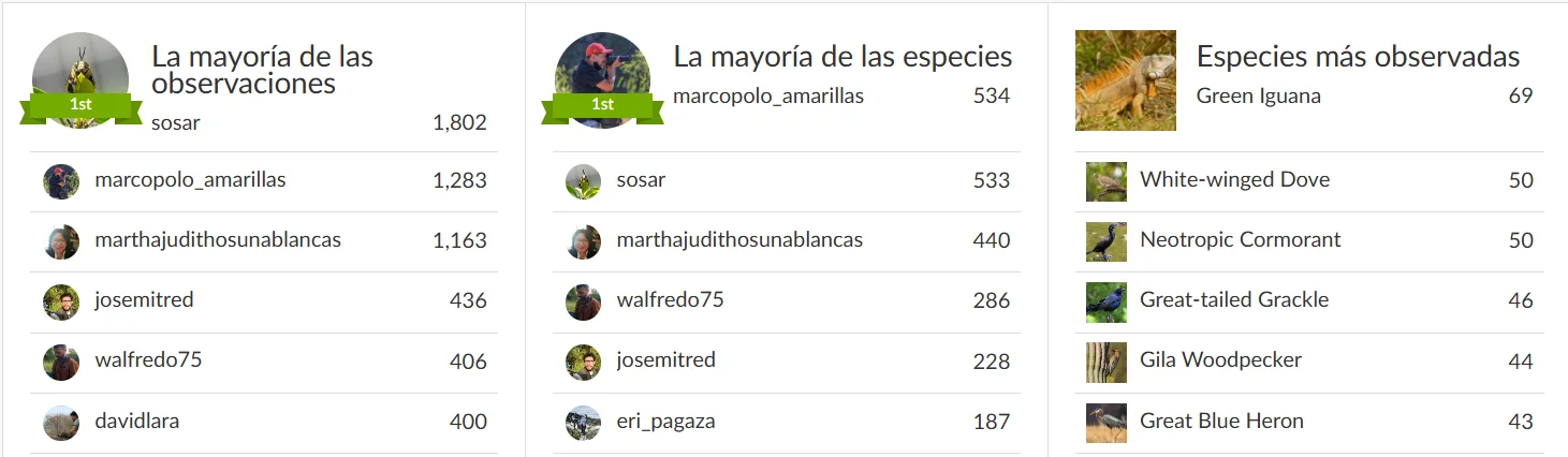 estadisticas culiacan reto naturalista 2025