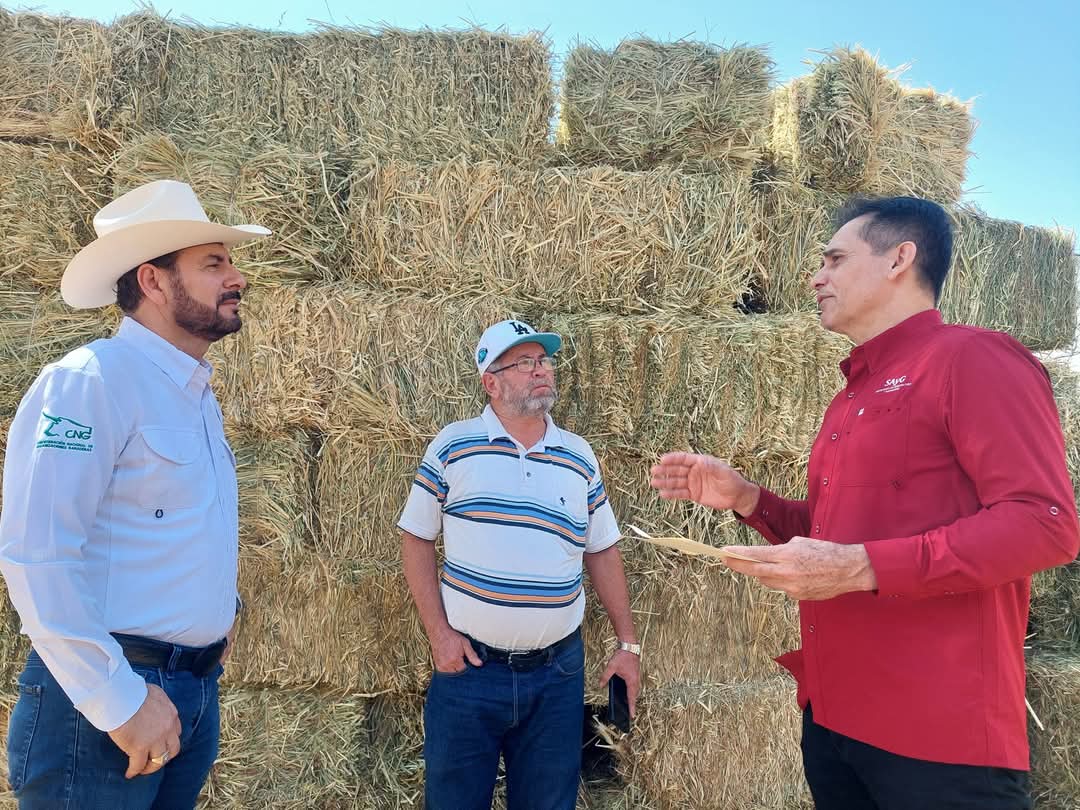 ganaderia-sinaloa